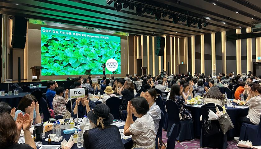 혈액순환 세럼과 혈점 마사지