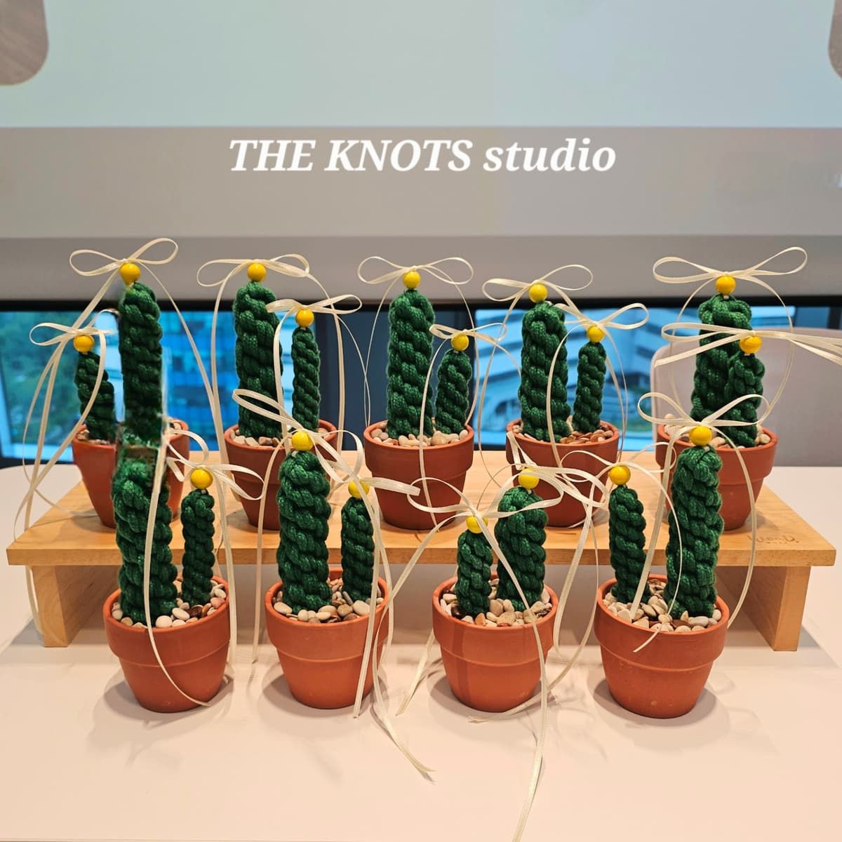 마크라메 선인장 상품 이미지 3