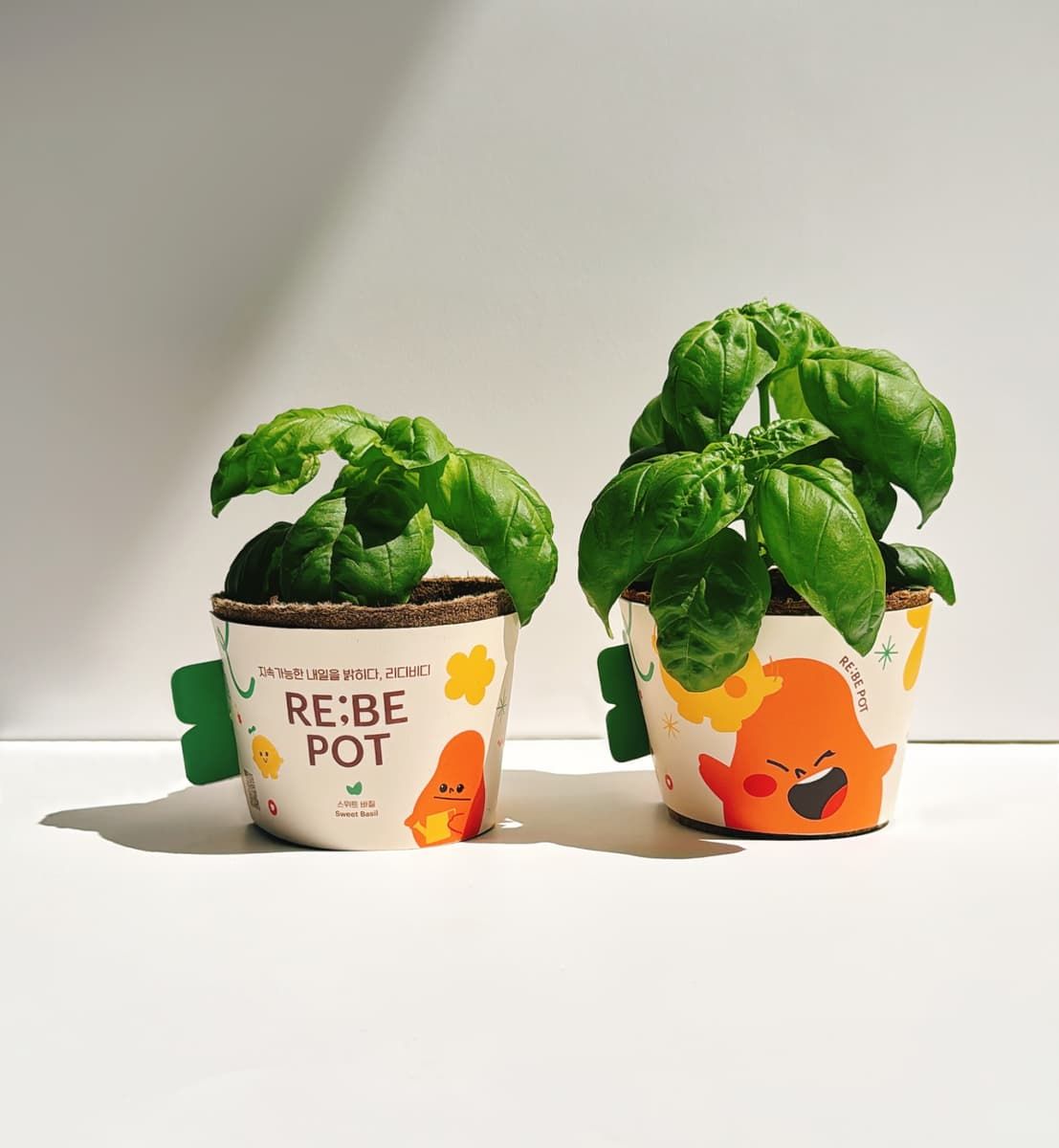 실천형 ESG 업사이클링 가드닝 워크숍 상품 이미지 8