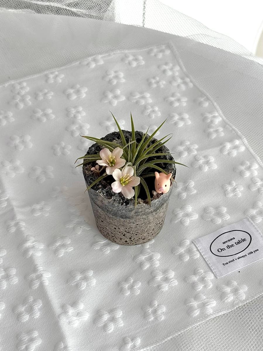 친환경소재로 만드는 발포세라믹 메시지 미니화분