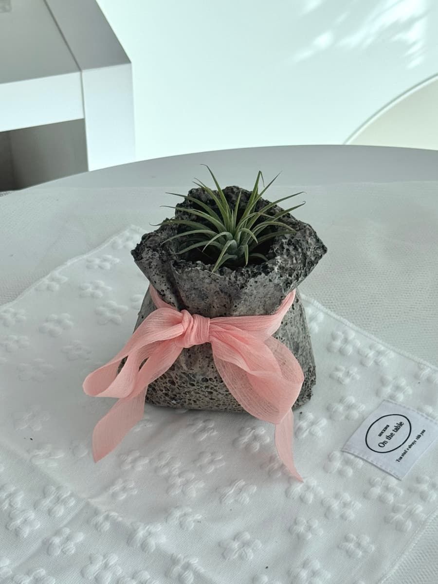 친환경소재로 만드는 발포세라믹 메시지 미니화분 진행 사진 3