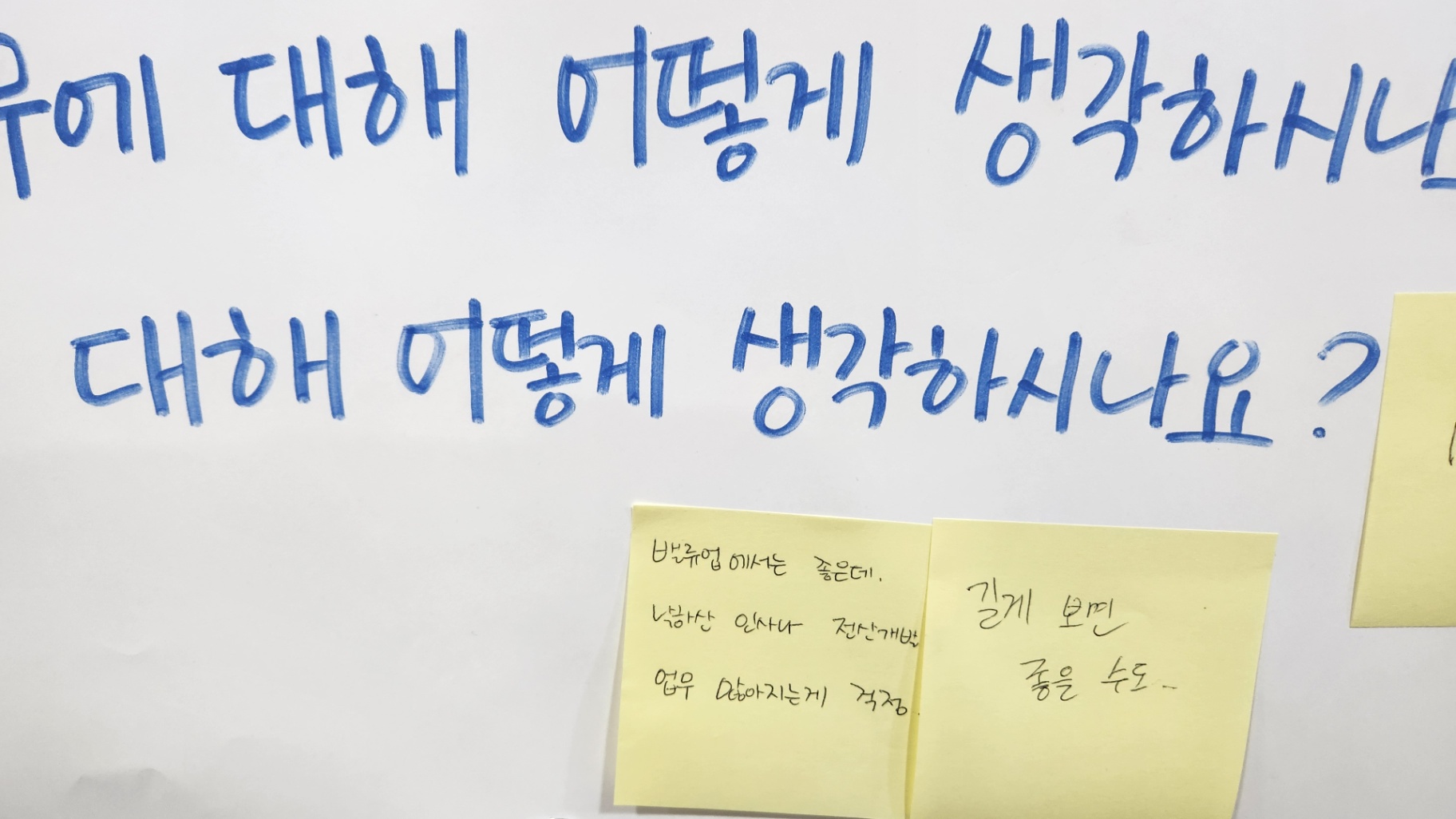 리버스 멘토링, Bridge Mentoring Partnership 진행 사진 3