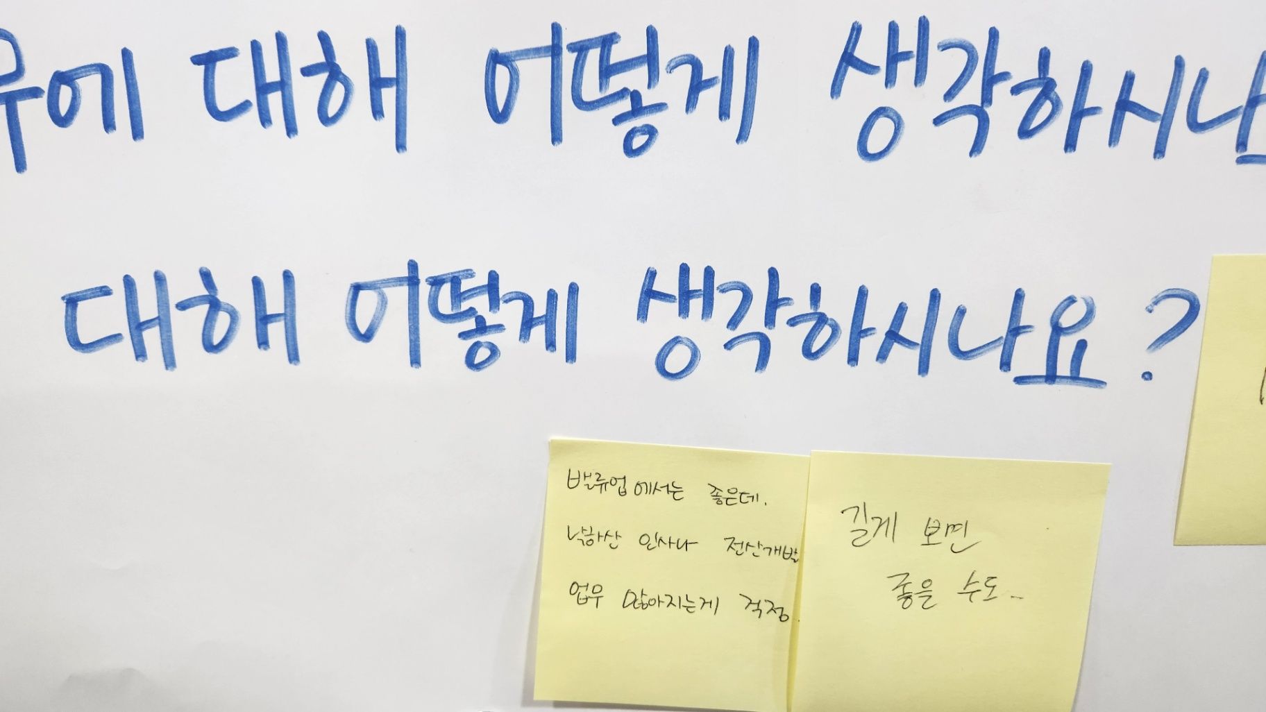 리버스 멘토링, Bridge Mentoring Partnership 상품 이미지 4