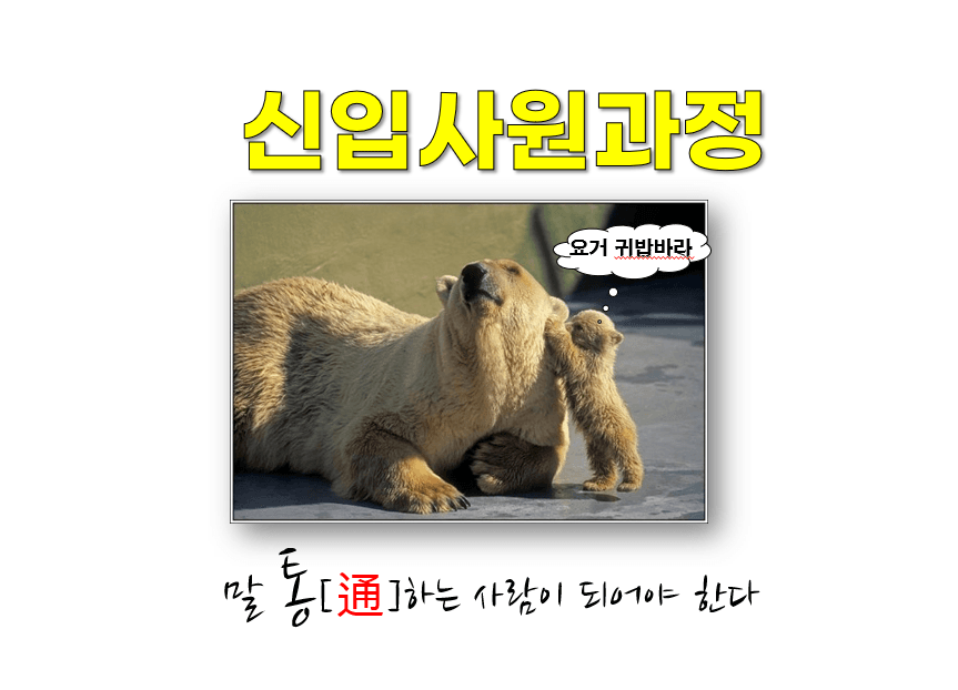 신입사원 조기 전력화 과정 썸네일