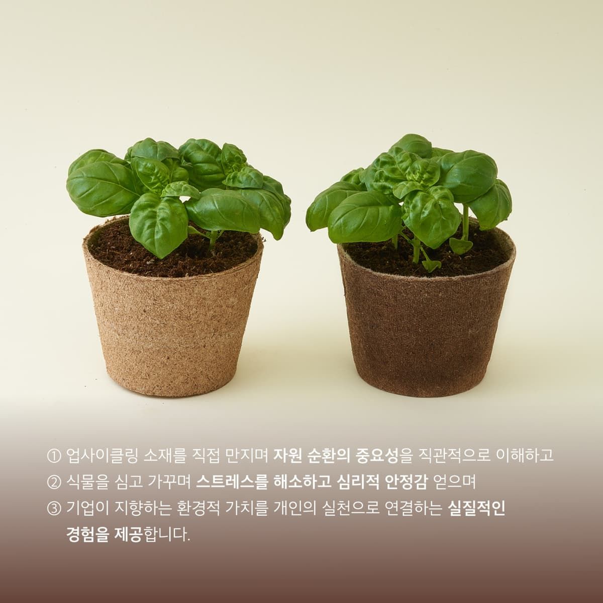 실천형 ESG 업사이클링 가드닝 워크숍 진행 사진 3