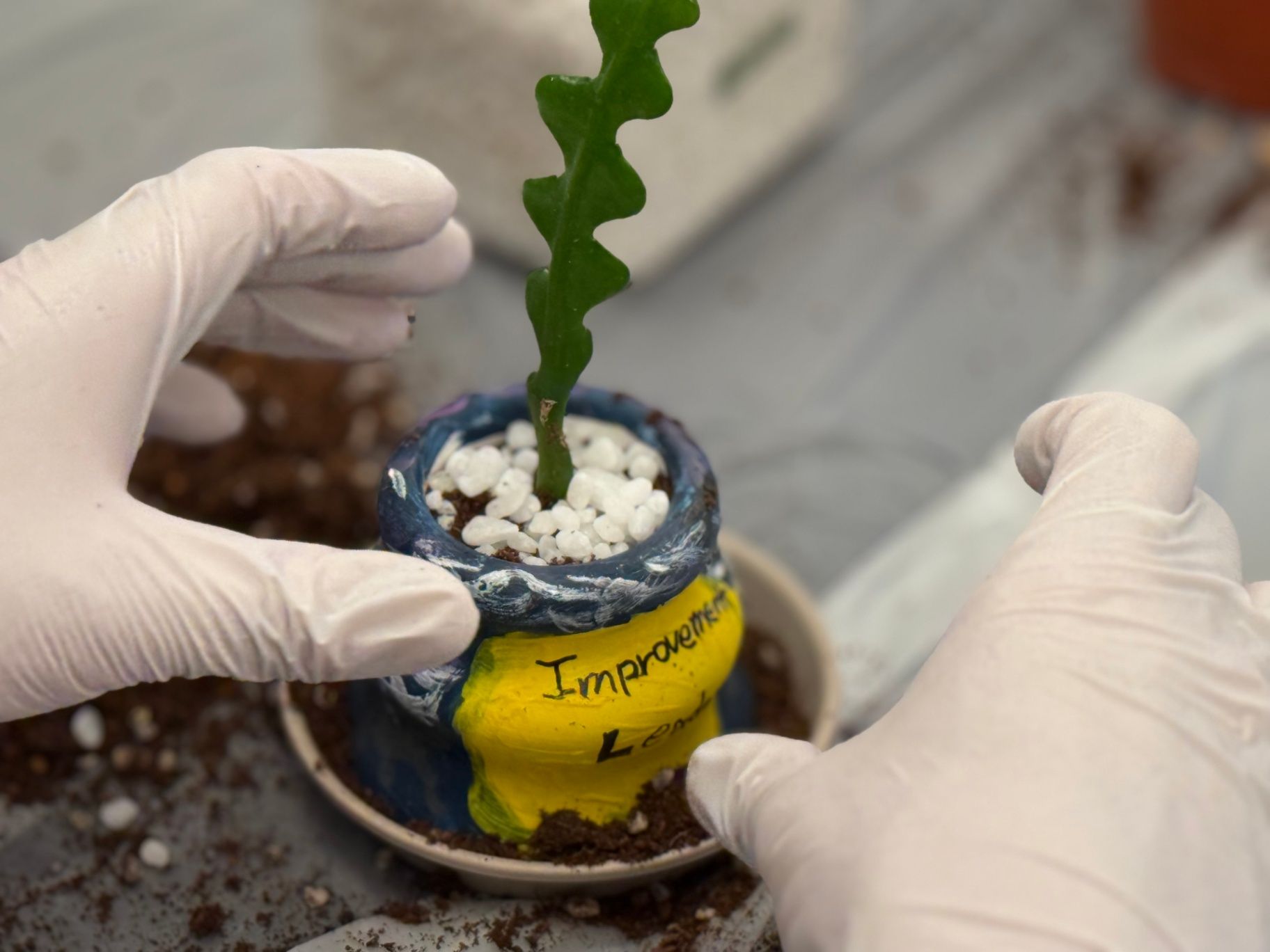 롤모델을 그리고, 나를 심다! 성장 워크샵 플랜트아트 상품 이미지 6