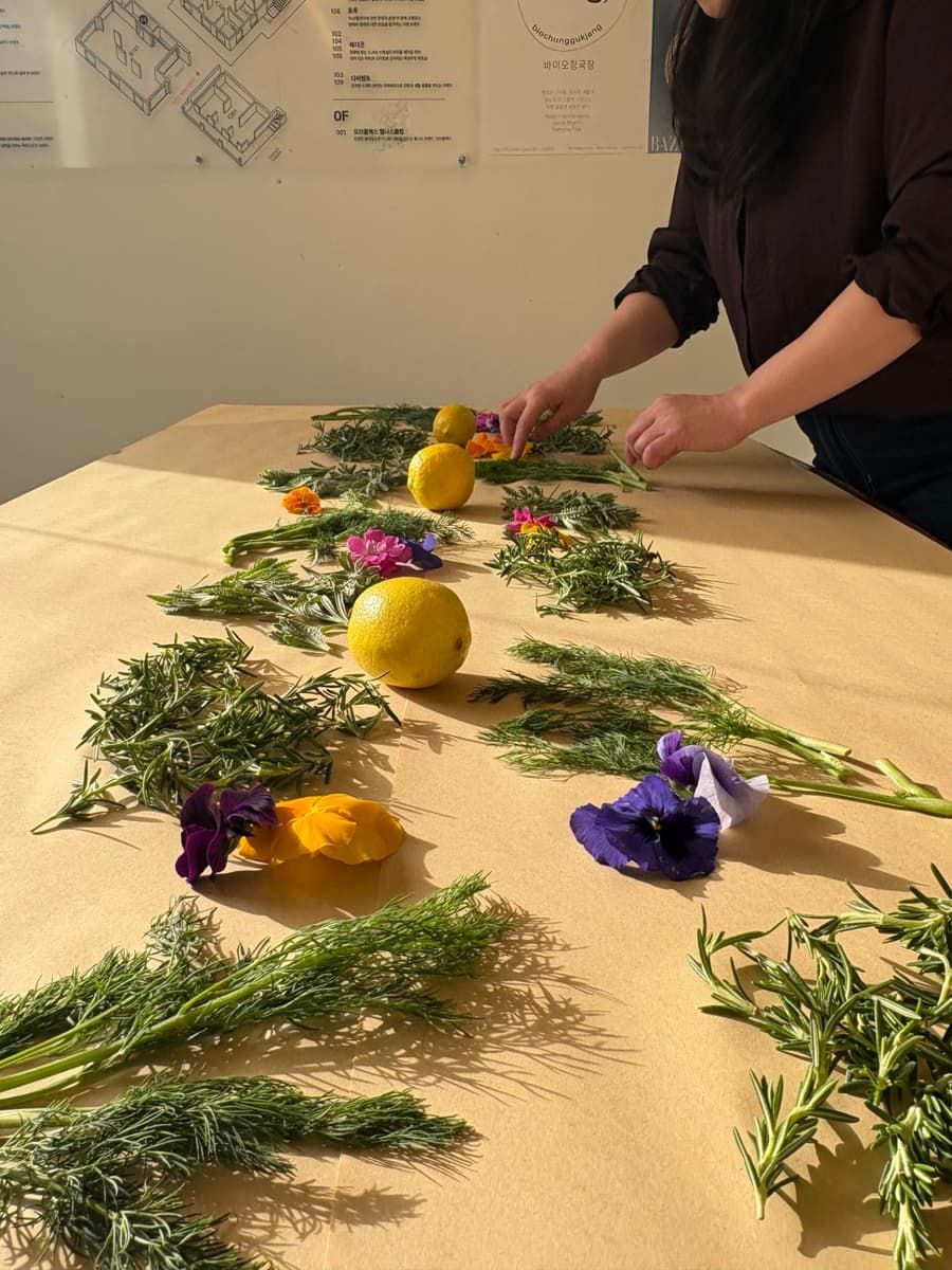 팀소통과 리프레시를 위한, Herb & Ferment 크림치즈 만들기