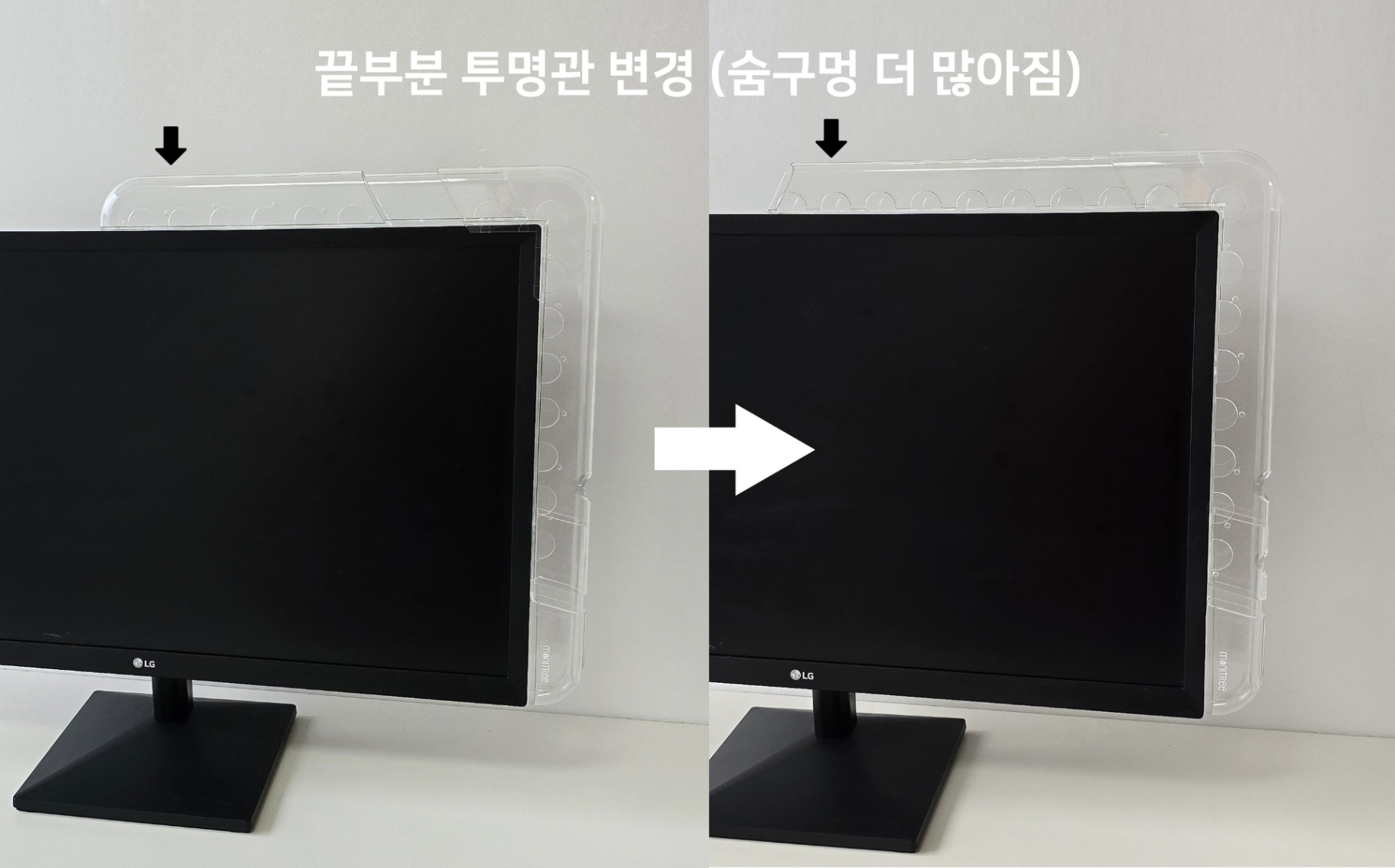 친환경 데스크테리어 반려식물 심고, 단기 목표 설정하기 진행 사진 4