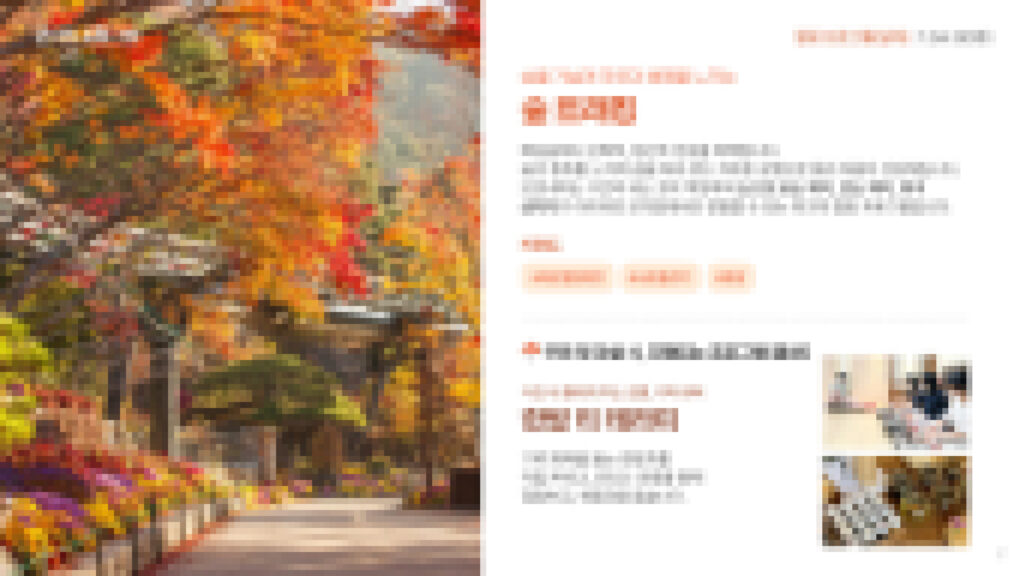 20회차 힐링 휴(休) 프로그램 이미지 3
