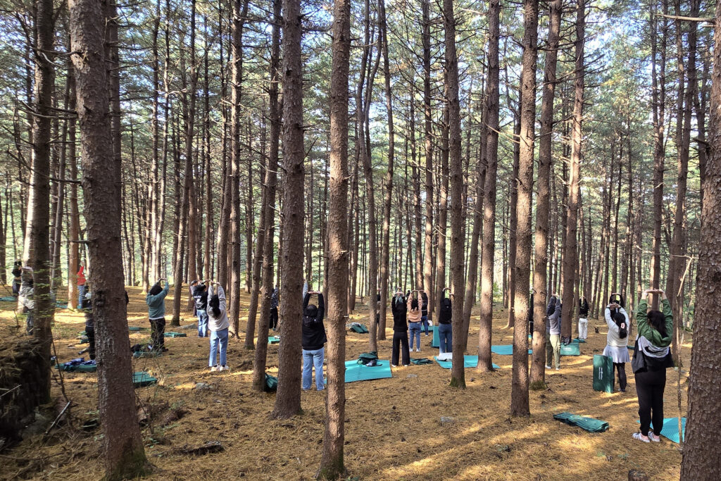 낭만별밤 힐링 MT 이미지 2