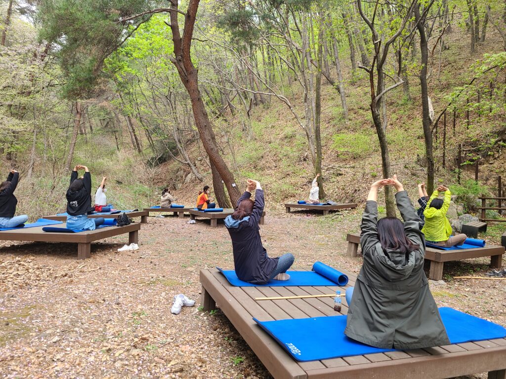 양평 산림치유 힐링 워크샵 이미지 3