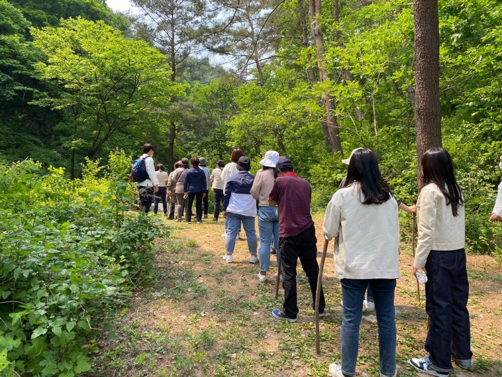 양평 산림치유 힐링 워크샵 이미지 2