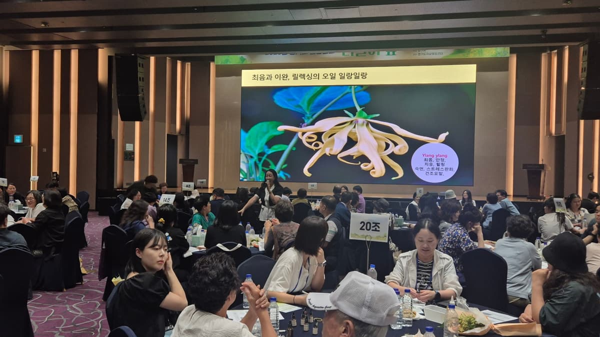 컬러 팀빌딩과 컬러 차량용방향제 진행 사진 2