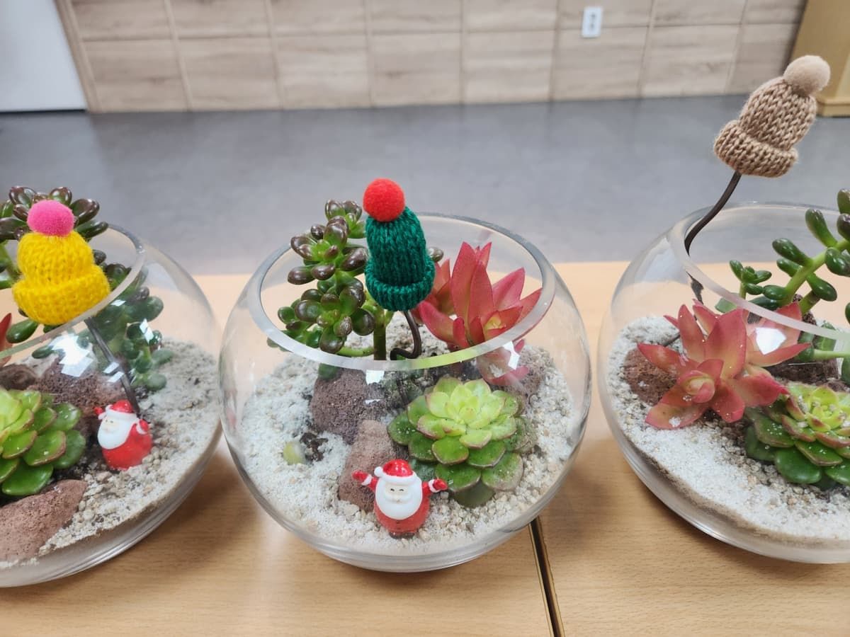 다육이 화분 상품 이미지 6