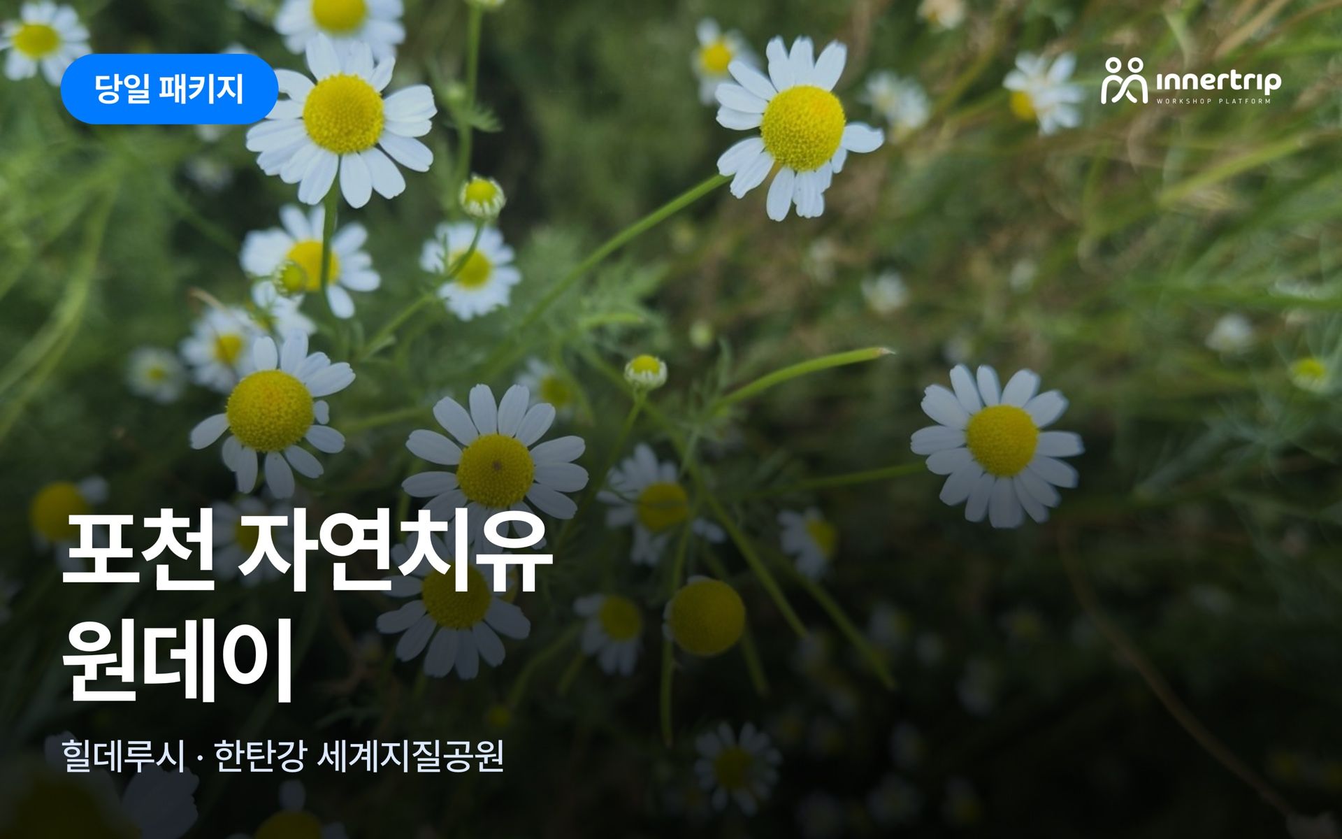 [단독] 포천 자연치유 원데이 | 힐데루시 × 한탄강 세계지질공원