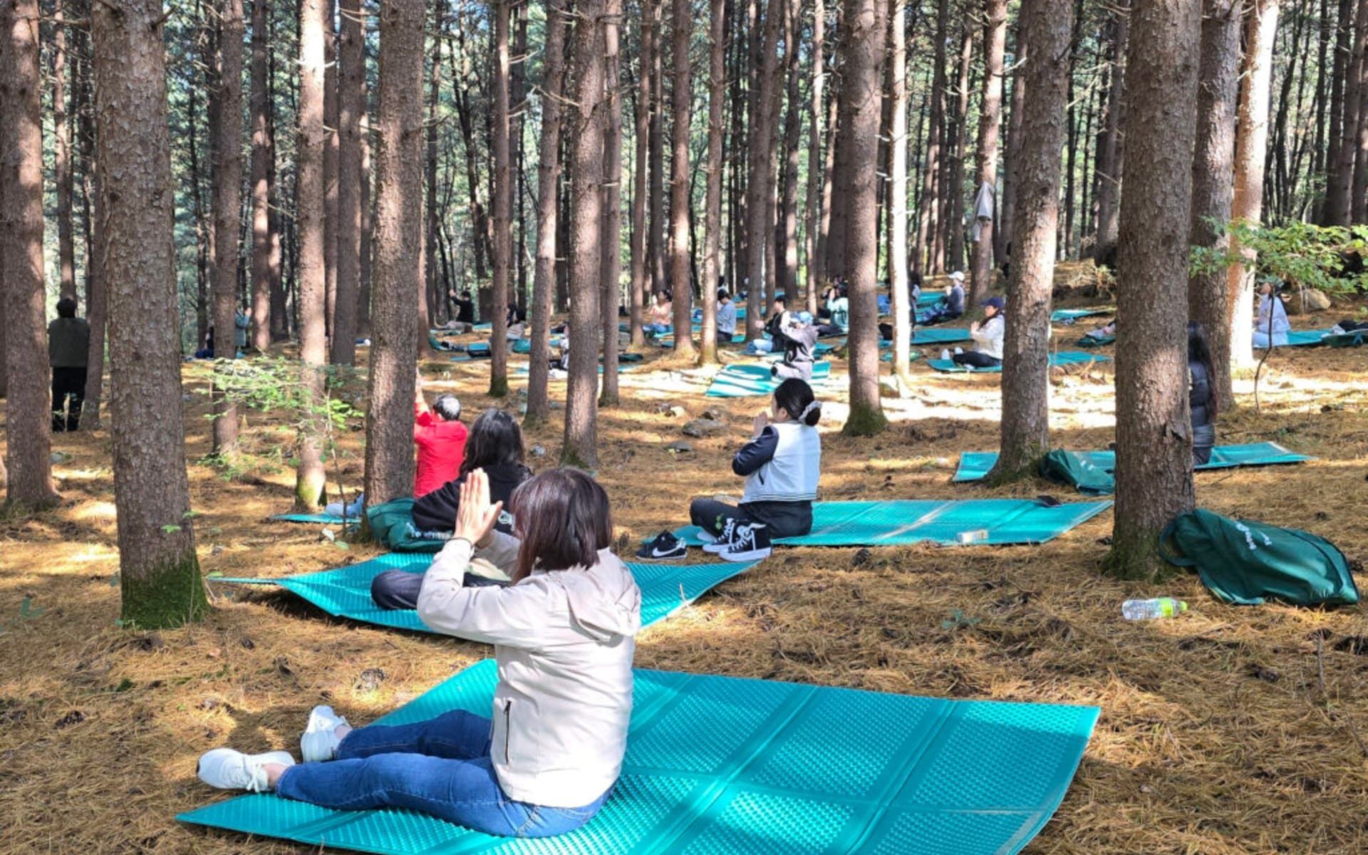가평 MT 1박 2일 직장인 힐링 40명 대표 이미지