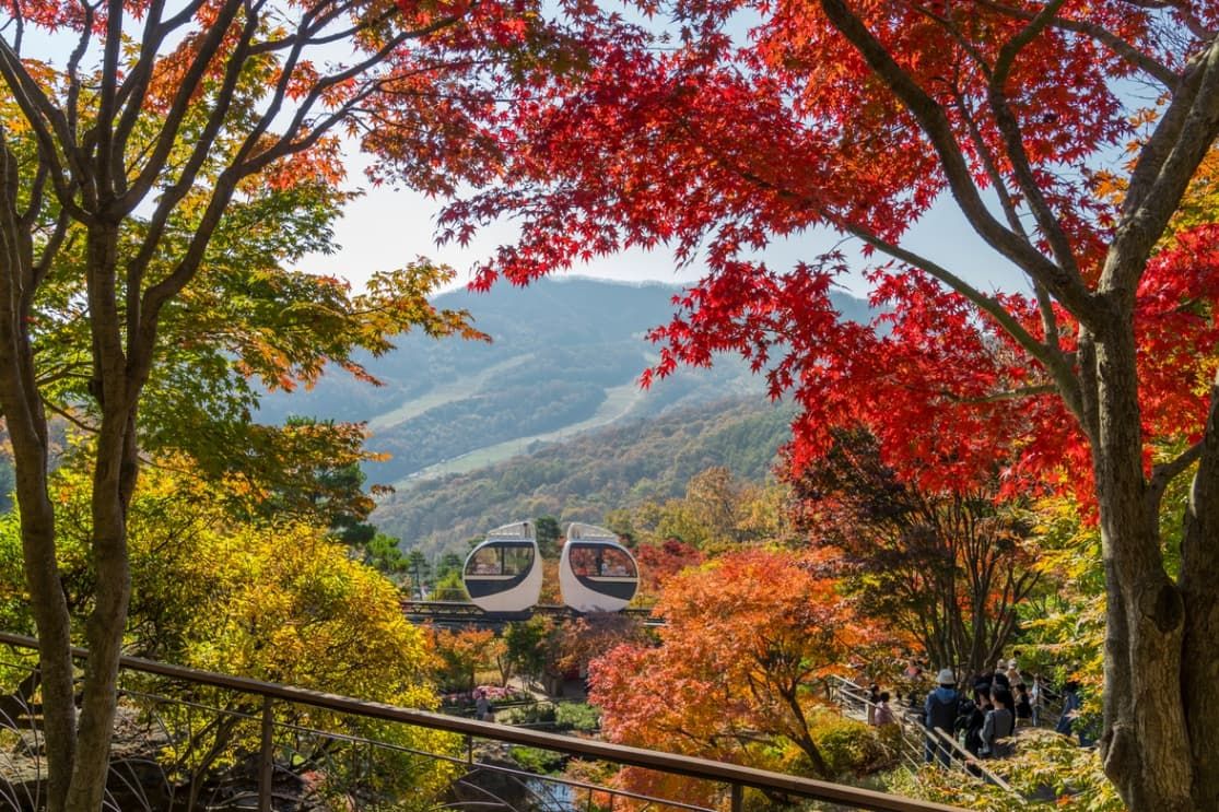 경기 광주, 곤지암리조트